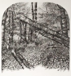 Archway in the Woods-9238